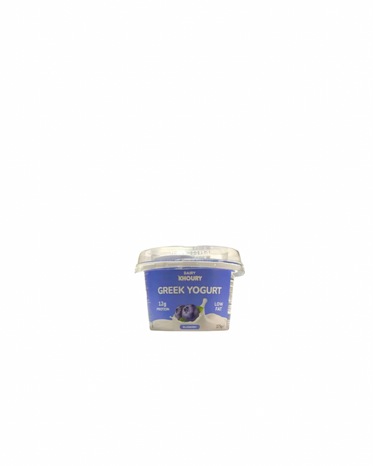 Dairy khoury greek yogurt blueberry