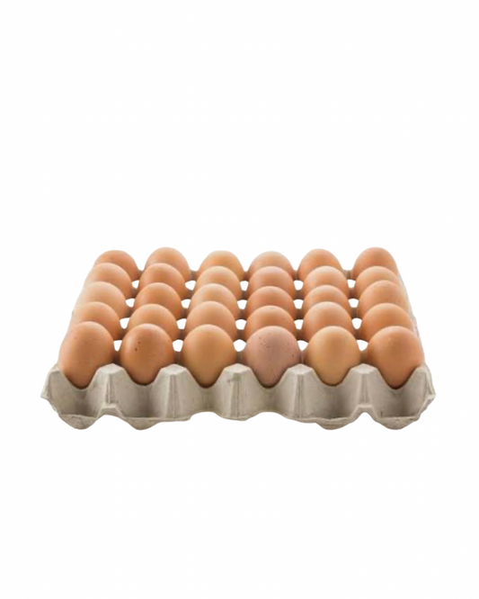 Baydatna red egg x 30
