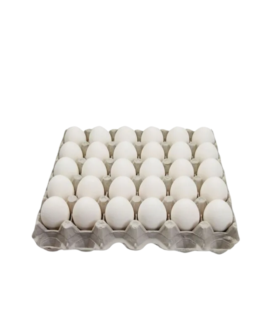 Baydatna white egg x 30