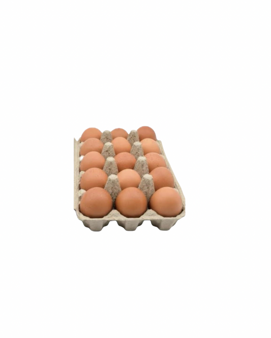 Baydatna red egg x 15