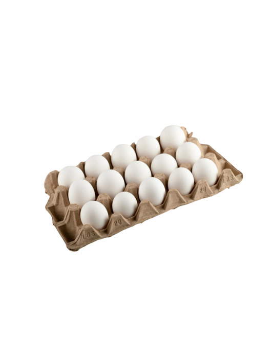 Baydatna white egg x 15